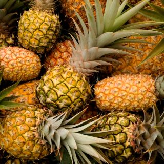 Ananas